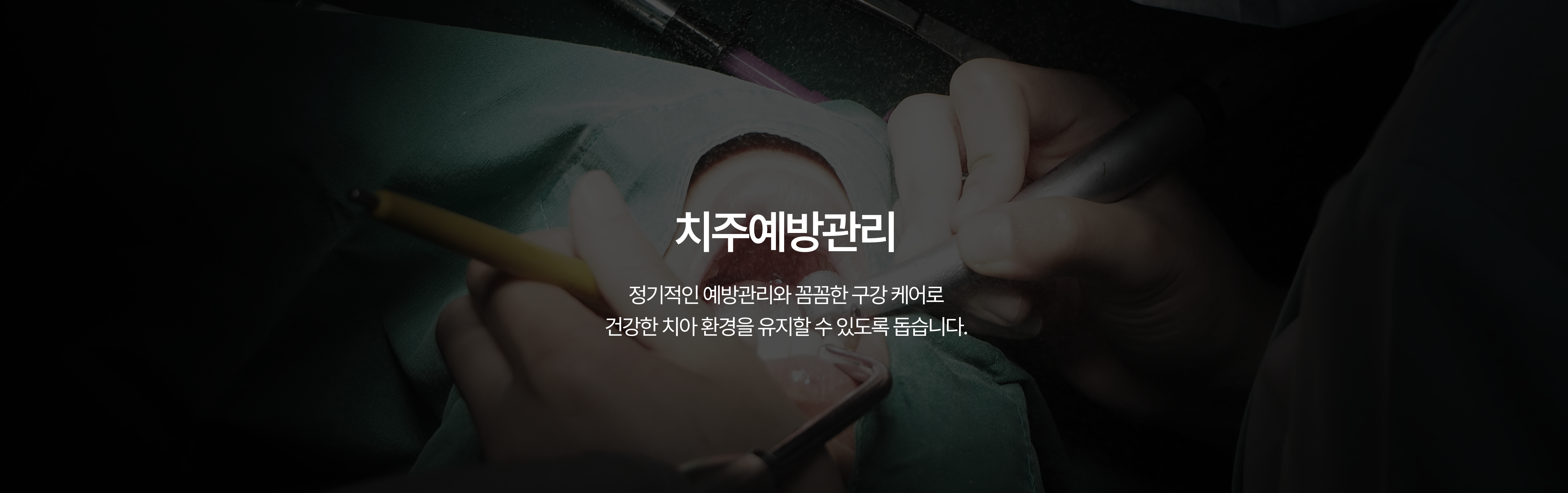 스케일링
